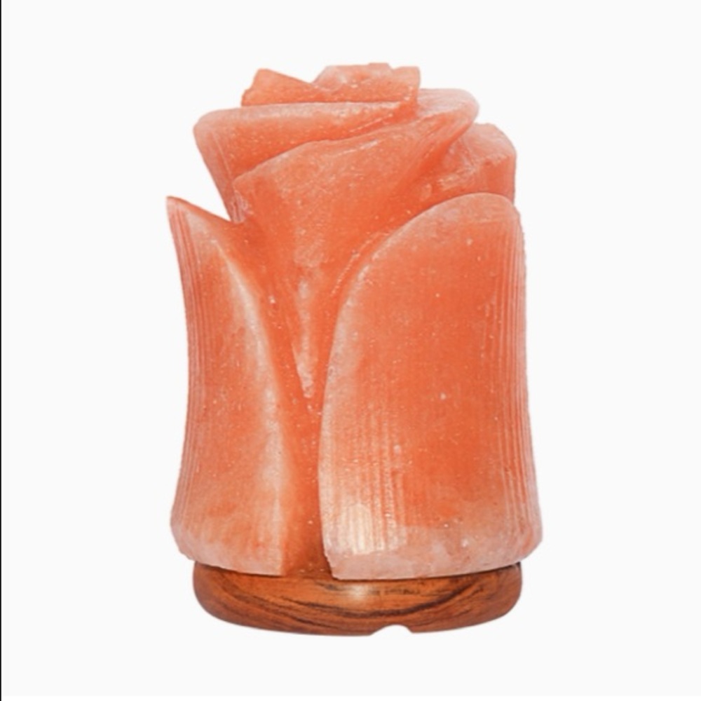 NWT Himalayan Salt Lamp Tulip Flower Shape